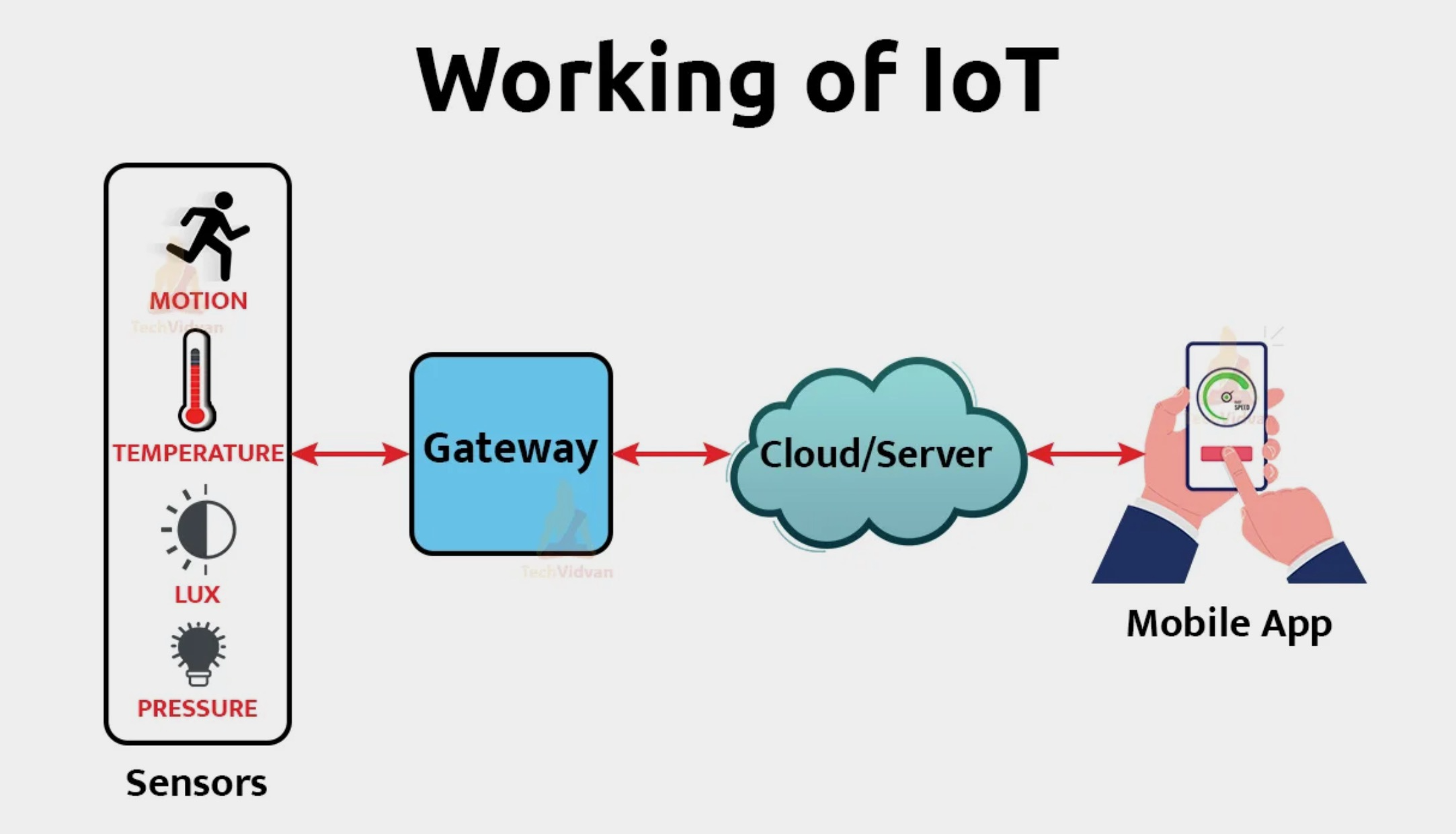 working-of-iot-image.png
